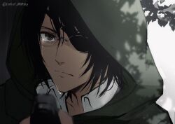 Rule 34 | 1other, absurdres, black hair, blurry, branch, brown eyes, cloak, commentary request, crying, depth of field, eyepatch, frown, glasses, green cloak, green hood, hange zoe, highres, hood, paradis military uniform, portrait, shingeki no kyojin, sirius 0905hz, solo, streaming tears, tears, tree shade
