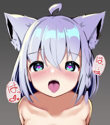 Rule 34 | ahoge, animal ears, aqua eyes, blush, braid, collarbone, fox ears, french braid, furrowed brow, gradient background, grey background, hair between eyes, half-closed eyes, heart, heart-shaped pupils, highres, hololive, looking at viewer, looking up, open mouth, portrait, rururaroru, shirakami fubuki, silver hairband, single braid, symbol-shaped pupils, tongue, tongue out, topless, virtual youtuber