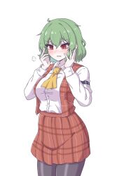 Rule 34 | 1girl, ascot, blush, breasts, collared shirt, green hair, highres, hihi (cvwv4322), kazami yuuka, large breasts, long sleeves, medium breasts, miniskirt, open clothes, open mouth, open vest, plaid, plaid skirt, plaid vest, red eyes, red skirt, red vest, shirt, short hair, simple background, skirt, solo, touhou, vest, white background, white shirt, yellow ascot