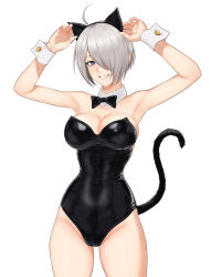 Rule 34 | angel (kof), animal ears, breasts, cat ears, cat tail, highres, large breasts, short hair, tail, the king of fighters, white hair, yukimune