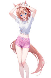 Rule 34 | 1girl, animal ears, arms up, blue eyes, blush, braid, commentary request, ears through headwear, feet out of frame, floral print, hair between eyes, hat, highres, horse ears, horse girl, horse tail, looking at viewer, medium hair, midriff, navel, open mouth, pink shorts, red hair, shirt, short hair, short sleeves, shorts, simple background, single braid, solo, standing, tail, tied shirt, tks (526tks), umamusume, venus paques (umamusume), white background, white hat, white shirt