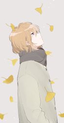 Rule 34 | 1girl, autumn leaves, brown hair, closed mouth, coat, enpera, falling leaves, ginkgo leaf, grey scarf, haibara ai, leaf, long sleeves, looking away, looking up, meitantei conan, scarf, short hair, simple background, smile, solo, srrr315, upper body