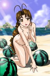 Rule 34 | 1girl, arched back, beach, blue sky, blush, breasts, brown eyes, brown hair, cloud, female focus, food, fruit, full body, large breasts, long hair, love hina, nude, ocean, open mouth, otohime mutsumi, outdoors, sand, sky, solo, sun, sunlight, water, watermelon