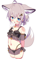 Rule 34 | 1girl, :d, absurdres, ahoge, animal ear fluff, animal ears, arknights, arms behind back, bare shoulders, bikini, black bikini, blue eyes, blush, breasts, cropped legs, eyebrows hidden by hair, fox ears, fox girl, fox tail, grey hair, hair between eyes, hair ornament, hairclip, heavy breathing, highleg, highleg bikini, highres, looking at viewer, low twintails, navel, open mouth, rebaa, saliva, see-through, short twintails, simple background, small breasts, smile, solo, sussurro (arknights), swimsuit, tail, twintails, white background, x hair ornament