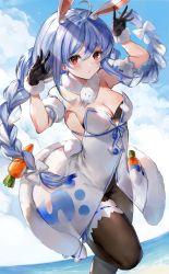 Rule 34 | 1girl, ahoge, animal ear fluff, animal ears, arm garter, arms up, blue hair, bow, braid, breasts, carrot, carrot hair ornament, cleavage, coat, don-chan (usada pekora), food-themed hair ornament, gloves, hair bow, hair ornament, highres, hololive, knee up, leotard, long hair, looking at viewer, medium breasts, multicolored hair, pantyhose, playboy bunny, rabbit ears, red eyes, ribbon, scarf, solo, soraneko hino, standing, standing on one leg, twin braids, two-tone hair, usada pekora, usada pekora (1st costume), virtual youtuber, white bow, white coat, white hair