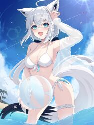 Rule 34 | 1girl, absurdres, ahoge, animal ear fluff, animal ears, aqua eyes, armpits, ball, bare shoulders, beach, beachball, bikini, blush, braid, breasts, cleavage, collarbone, day, fox ears, fox girl, fox tail, front-tie bikini top, front-tie top, hair between eyes, highres, hololive, jacket, jupiterjack8, long hair, looking at viewer, medium breasts, navel, open clothes, open jacket, open mouth, outdoors, see-through, see-through jacket, shirakami fubuki, side-tie bikini bottom, single braid, solo, swimsuit, tail, virtual youtuber, white bikini, white hair