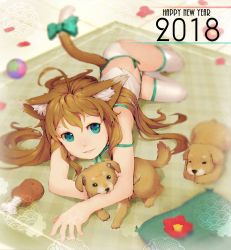 Rule 34 | 1girl, 2018, animal, animal ears, cat ears, cat tail, chinese zodiac, dog, happy new year, highres, looking at viewer, nengajou, new year, original, segamark, solo, tail, year of the dog