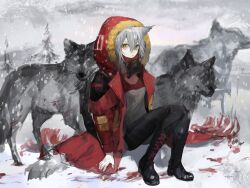 Rule 34 | 1girl, animal ears, arknights, black footwear, black pants, black shirt, blood, blood on ground, boots, chinese commentary, closed mouth, commentary, commentary request, cross-laced footwear, english commentary, expressionless, fur-trimmed jacket, fur trim, grey hair, highres, hood, hood up, hooded jacket, jacket, lace-up boots, long sleeves, medium hair, on ground, outdoors, pants, projekt red (arknights), red jacket, shirt, sitting, snow, snowing, solo, tail, vihua6, winter, wolf, wolf ears, wolf girl, wolf tail, yellow eyes