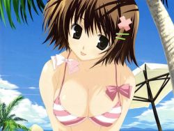 Rule 34 | 1girl, :p, artist request, beach, beach umbrella, bikini, bikini top only, black eyes, bow, breasts, brown hair, character request, cleavage, cloud, collarbone, hair ornament, hairclip, large breasts, looking at viewer, palm tree, pink bikini, sand, short hair, sky, striped bikini, striped clothes, swimsuit, tongue, tongue out, tree, umbrella, upper body, x hair ornament