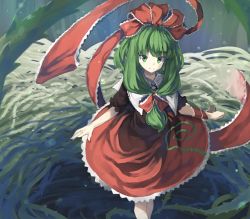 Rule 34 | 1girl, arms at sides, bad id, bad pixiv id, bow, closed mouth, dress, eyebrows, frilled shirt collar, frills, front ponytail, gloves, green hair, hair bow, hat, highres, kagiyama hina, long hair, looking at viewer, looking up, mini person, minigirl, nest, plant, puffy short sleeves, puffy sleeves, red bow, red dress, red hat, shawl, short sleeves, smile, solo, standing, suminagashi, thorns, touhou, vines