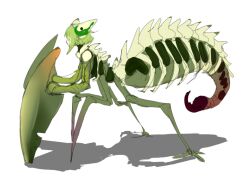 Rule 34 | 1other, arthropod limbs, commentary request, extra eyes, full body, green hair, looking to the side, metamon1996, original, praying mantis, short hair, simple background, sketch, solo, standing, stinger, white background