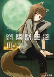 Rule 34 | 00s, 1girl, animal ears, anklet, ayakura juu, barefoot, capri pants, cover, cover page, holo, jewelry, novel cover, official art, pants, solo, spice and wolf, tail, wolf ears, wolf tail