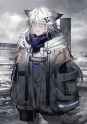 Rule 34 | 1girl, animal ears, arknights, blue scarf, coat, commentary, cowboy shot, crossed bangs, gawako, grin, highres, lappland (arknights), long hair, looking at viewer, pocket, scar, scar across eye, scar on face, scarf, silver hair, slit pupils, smile, solo, standing, tail, unzipped, white coat, wolf ears, wolf girl, wolf tail, yellow eyes, zipper