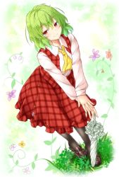 Rule 34 | 1girl, aka tawashi, ascot, black footwear, black pantyhose, blush, collarbone, commentary request, dutch angle, floral background, flower, frilled skirt, frills, full body, green background, green hair, green umbrella, hair between eyes, highres, kazami yuuka, leaf, leaning forward, loafers, long sleeves, looking at viewer, multicolored background, pantyhose, plaid, plaid skirt, plaid vest, planted, planted umbrella, purple flower, red eyes, red flower, red skirt, red vest, shirt, shoes, short hair, skirt, smile, solo, standing, touhou, umbrella, v arms, vest, white background, white shirt, wing collar, yellow ascot, yellow background
