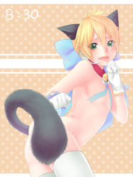 Rule 34 | 1boy, animal ears, ass, bad id, bad pixiv id, bell, blonde hair, blush, bow, cat ears, cat tail, collar, embarrassed, fang, gloves, green eyes, hair bow, kagamine len, magical nuko-lenlen (vocaloid), male focus, neck bell, nude, ribbon, rino (okota), solo, tail, thighhighs, thighs, vocaloid, white thighhighs