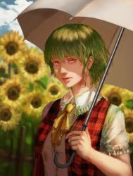 Rule 34 | 1girl, alternate eye color, arm at side, ascot, blue sky, blurry, blurry background, breasts, cloud, collared shirt, commentary request, day, frilled ascot, frilled shirt collar, frilled sleeves, frills, garden of the sun, green hair, hair between eyes, highres, holding, holding umbrella, kazami yuuka, lips, medium breasts, niz, nose, open clothes, open vest, outdoors, parasol, pink eyes, pink lips, plaid, plaid vest, realistic, red eyes, red vest, shirt, short hair, short sleeves, sidelocks, sky, solo, touhou, umbrella, upper body, vest, wavy hair, white shirt, yellow ascot