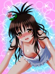 Rule 34 | 1girl, all fours, blush, breasts, brown hair, downblouse, extended downblouse, flower, hair flower, hair ornament, kaze makase, long hair, looking at viewer, no bra, open mouth, small breasts, solo, sparkle, sweat, to love-ru, wavy mouth, yellow eyes, yuuki mikan