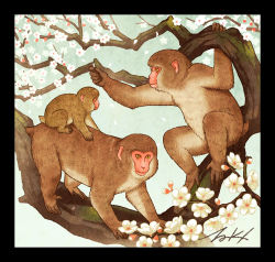 Rule 34 | animal, animal focus, black border, border, branch, flower, japanese macaque, looking at viewer, monkey, no humans, original, petals, signature, takigraphic, tree