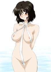Rule 34 | 00s, 1girl, areola slip, bdsm, blush, bondage, bound, breasts, brown eyes, brown hair, cameltoe, crotch rope, herikawa koishi, highres, joy division, large breasts, onegai teacher, slingshot swimsuit, solo, swimsuit, thigh gap, thighs, water