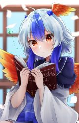 Rule 34 | 1girl, ahoge, angry, bird wings, blue cape, blue hair, book, cape, floating, floating object, gunsou1350, head wings, holding, holding book, long sleeves, multicolored hair, paper, red eyes, red wings, short hair, single head wing, skirt, tokiko (touhou), touhou, white hair, wide sleeves, window, wings