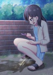 Rule 34 | 1girl, arisu kazumi, black eyes, black footwear, black hair, blue dress, breasts, brick wall, bush, cardigan, cellphone, collarbone, dress, grass, hand on own leg, holding, long hair, looking at phone, open cardigan, open clothes, original, peeing, peeing in public, phone, puddle, recording, sandals, sky, small breasts, smartphone, solo, squatting, steam, tan cardigan, tree, wall