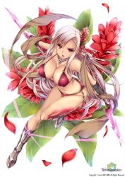 Rule 34 | 1girl, armor, bare shoulders, bikini armor, black gloves, breasts, cleavage, dual wielding, female focus, flower, flower knight girl, gloves, greaves, hair flower, hair ornament, highres, holding, large breasts, long hair, looking at viewer, monety, name connection, navel, object namesake, official art, open mouth, original, petals, purple eyes, red ginger (flower knight girl), silver hair, solo, very long hair