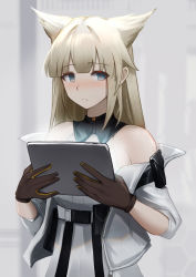 Rule 34 | 1girl, absurdres, animal ears, arknights, arknights: endfield, bare shoulders, black gloves, blonde hair, blue eyes, blush, cat ears, closed mouth, dress, embarrassed, gloves, grey jacket, highres, holding, holding tablet pc, jacket, krirk, long hair, long sleeves, looking at viewer, open clothes, open jacket, perlica (arknights), solo, tablet pc, underbust, upper body, white dress