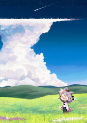 Rule 34 | 1girl, animal ears, bare shoulders, black eyes, blush, blush stickers, carte, cloud, cumulonimbus cloud, detached sleeves, field, grey hair, hat, highres, inubashiri momiji, open mouth, pom pom (clothes), scenery, shirt, shooting star, short hair, solid circle eyes, solo, tail, tokin hat, touhou, wolf ears, wolf girl, wolf tail