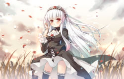 Rule 34 | 00s, :&lt;, asa (swallowtail), blush, clothes lift, cloud, doll joints, dress, dress lift, flower, gothic lolita, grass, joints, lolita fashion, long hair, red eyes, rose, rozen maiden, sky, suigintou, thighhighs, white hair, wind, wind lift