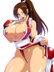 Rule 34 | 1girl, breasts, brown hair, fatal fury, huge breasts, ponytail, raburebo, shiranui mai, snk, the king of fighters