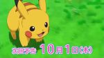Rule 34 | animated, ash ketchum, blastoise, creatures (company), eevee, game freak, gen 1 pokemon, nintendo, pikachu, pokemon, pokemon (anime), pokemon (creature), serena (pokemon), shauna (pokemon), sound, tagme, tierno (pokemon), video, video