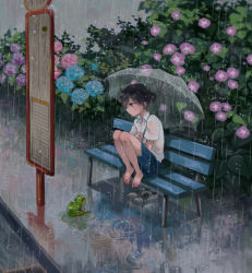 Rule 34 | 1girl, barefoot, bench, black eyes, black hair, bus stop, feet on chair, flower, frog, hydrangea, morning glory, original, puddle, rain, reflection, ryouga (fm59), shoes, unworn shoes, short hair, sitting, skirt, solo, transparent, transparent umbrella, umbrella, water, wet, wet clothes
