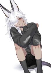 Rule 34 | 1boy, absurdres, alternate costume, animal ears, black choker, black shorts, black socks, black sweater, blush, choker, cyno (genshin impact), dark-skinned male, dark skin, ear piercing, genshin impact, gomi deshu, hair over one eye, highres, long hair, looking at viewer, male focus, parted lips, piercing, red eyes, shorts, simple background, sitting, socks, solo, sweater, tail, torn clothes