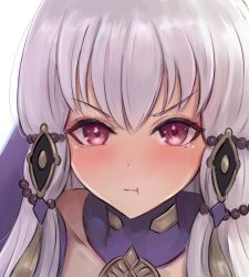 Rule 34 | &gt;:t, 1girl, blush, closed mouth, fire emblem, fire emblem: three houses, hair ornament, leonmandala, long hair, looking at viewer, lysithea von ordelia, nintendo, pink eyes, portrait, pout, solo, tearing up, white hair