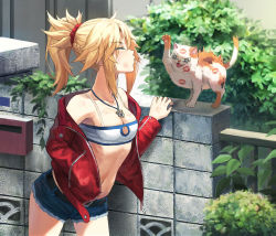 Rule 34 | 1girl, bare shoulders, blonde hair, blush, braid, breasts, cat, closed eyes, denim, denim shorts, fate/apocrypha, fate/grand order, fate (series), french braid, hair ornament, hair scrunchie, highres, jacket, jewelry, lipstick mark, long hair, long sleeves, mordred (fate), mordred (fate/apocrypha), mordred (memories at trifas) (fate), navel, necklace, off shoulder, open clothes, open jacket, parted bangs, ponytail, puckered lips, red jacket, red scrunchie, scratches, scrunchie, short shorts, shorts, sidelocks, small breasts, thighs, tonee