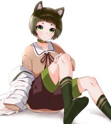 Rule 34 | 1girl, absurdres, animare, blunt bangs, blush, brown ribbon, brown shirt, brown shorts, chukachuka, closed mouth, commentary, dog girl, expressionless, foot out of frame, green eyes, green socks, hand on own knee, hashiba natsumi (animare), highres, jacket, looking at viewer, nanashi inc., neck ribbon, no shoes, ribbon, shirt, short bangs, short hair, shorts, simple background, sitting, socks, solo, symbol-only commentary, thick eyebrows, unworn jacket, virtual youtuber, white background, white jacket