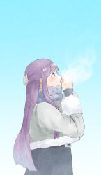 Rule 34 | 1girl, blowing, blue scarf, breath, cropped jacket, fern (sousou no frieren), from side, fur-trimmed jacket, fur trim, half updo, highres, jacket, jibe1212, long hair, looking ahead, looking up, outdoors, own hands together, purple eyes, scarf, solo, sousou no frieren, upper body, very long hair, white jacket