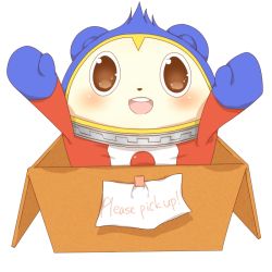 Rule 34 | arms up, bad id, bad pixiv id, blush, box, brown eyes, cardboard box, english text, engrish text, for adoption, hosikuzu, in box, in container, kuma (persona 4), megami tensei, no humans, open mouth, persona, persona 4, ranguage, shin megami tensei, smile, text focus, white background, zipper