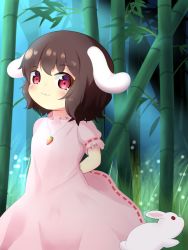 Rule 34 | 1girl, :3, animal ears, arms behind back, bamboo, bamboo forest, blush, breasts, brown hair, carrot necklace, closed mouth, commentary request, cowboy shot, dress, floppy ears, forest, frilled sleeves, frills, grass, highres, inaba tewi, jewelry, koruk700, looking at viewer, nature, necklace, pink dress, rabbit, rabbit ears, rabbit girl, red eyes, ribbon-trimmed dress, short hair, small breasts, smile, solo, touhou