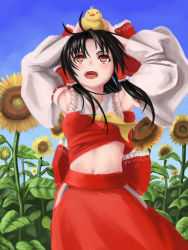 Rule 34 | 1girl, animal, animal on head, armpits, arms up, ascot, bird, bird on head, black hair, blue sky, bow, breasts, cowboy shot, day, flower, hair bow, hair tubes, hakurei reimu, highres, long hair, looking at another, looking up, midriff, navel, nuppa, on head, orange eyes, outdoors, ribbon-trimmed sleeves, ribbon trim, side slit, skirt, sky, small breasts, smile, solo, sunflower, touhou, wind, wind lift