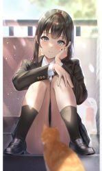 Rule 34 | 1girl, absurdres, black coat, black footwear, black hair, black socks, blurry, blurry background, blurry foreground, blush, cat, coat, commentary request, convenient censoring, green eyes, hand on own face, head rest, highres, knees to chest, long hair, long sleeves, original, outdoors, sakamuke, school uniform, shirt, sidelocks, sitting, sitting on stairs, skirt, smile, socks, solo, stairs, sunlight, white shirt