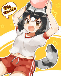 Rule 34 | 1girl, absurdres, animal ears, arms up, ball, black hair, brown eyes, common raccoon (kemono friends), gym uniform, highres, holding, holding ball, kemono friends, open mouth, raccoon ears, raccoon girl, raccoon tail, red shorts, shirt, shorts, solo, speech bubble, striped tail, suicchonsuisui, t-shirt, tail, white shirt, yellow background