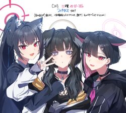 Rule 34 | 3girls, :o, absurdres, animal ear fluff, animal ears, asymmetrical hair, black camisole, black choker, black collar, black hair, black hoodie, black jacket, blazer, blue archive, blue ribbon, blunt bangs, bob cut, bright pupils, camisole, cat ears, cat girl, choker, collar, collarbone, collared shirt, colored inner animal ears, colored inner hair, commentary request, cross-laced clothes, dog ears, dog girl, dog tags, dot nose, earrings, ears down, fingernails, grey halo, grey nails, hair behind ear, hair intakes, hair ornament, hair ribbon, hairclip, halo, hand up, hibiki (blue archive), highres, hood, hood down, hoodie, jacket, jewelry, kamiyama sumu, kazusa (blue archive), long hair, long sleeves, looking at viewer, low twintails, medium hair, multicolored hair, multiple girls, nail, neckerchief, off shoulder, open clothes, open jacket, open mouth, parted bangs, pink hair, pink halo, pink neckerchief, ponytail, purple eyes, red eyes, red halo, ribbon, serika (blue archive), shirt, simple background, smile, stud earrings, translation request, twintails, two-tone hair, upper body, v, white background, white jacket, white pupils, white shirt