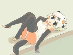 Rule 34 | 1girl, :3, adapted costume, animal ears, bare shoulders, black gloves, black thighhighs, blue eyes, blush, californian sea otter (kemono friends), commentary request, elbow gloves, extra ears, gloves, hasu (zatsugami), highres, kemono friends, looking at viewer, lying, on back, one-piece swimsuit, otter ears, otter tail, shell hair ornament, short hair, sleeveless, solo, stirrup legwear, swimsuit, tail, thighhighs, toeless legwear, white hair, white one-piece swimsuit