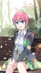 Rule 34 | 1girl, :d, bad id, bad pixiv id, bench, between legs, blazer, blue jacket, blush, breasts, cardigan, cardigan around waist, clothes around waist, collared shirt, commentary request, falling leaves, go-toubun no hanayome, green cardigan, green skirt, hair between eyes, hand between legs, highres, jacket, large breasts, leaf, lens flare, long sleeves, looking at viewer, nakano ichika, open clothes, open jacket, open mouth, park bench, pink hair, plant, pleated skirt, shadow, shirt, short hair, sidelocks, sitting, skirt, smile, solo, sparkle, tree, white shirt, yubacha
