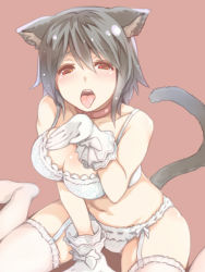Rule 34 | 1girl, animal ears, arm support, bare shoulders, black hair, blush, bra, breasts, cleavage, collar, cupping hand, duke (inu daimyou), garter straps, gloves, large breasts, no shoes, open mouth, oral invitation, original, panties, red background, red eyes, short hair, simple background, sitting, solo, tail, thighhighs, tongue, tongue out, underwear, underwear only, wariza, white bra, white panties, white thighhighs