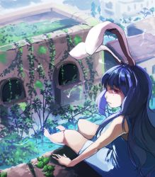 Rule 34 | 1girl, alternate costume, animal ears, backlighting, barefoot, blue dress, building, day, dress, expressionless, eyebrows, from above, from behind, grass, heiya, legs, long hair, looking at viewer, moss, nature, overgrown, pink eyes, plant, purple hair, rabbit ears, reisen udongein inaba, seiran (touhou), sitting, sleeveless, sleeveless dress, solo, stream, sundress, sunlight, thighs, toes, touhou, tree, very long hair, vines, water