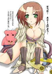 Rule 34 | 1girl, artist request, breasts, brown hair, capelet, cleavage, detached sleeves, green eyes, ragnarok online, sage (ragnarok online), short hair, solo, source request, translation request