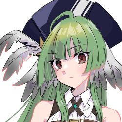 Rule 34 | 1girl, arknights, bare shoulders, bird girl, blue hat, blunt bangs, blush, brown eyes, chomo o12, closed mouth, collared shirt, frown, green hair, hat, hat feather, head wings, highres, long bangs, long hair, looking at viewer, poncirus (arknights), portrait, shirt, sidelocks, simple background, sleeveless, sleeveless shirt, solo, white background, white shirt, wings