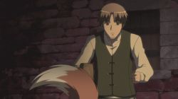 Rule 34 | 1boy, animal ears, animated, animated gif, brown hair, craft lawrence, holo, red eyes, screencap, sexually suggestive, spice and wolf, tail, wolf ears, wolf tail